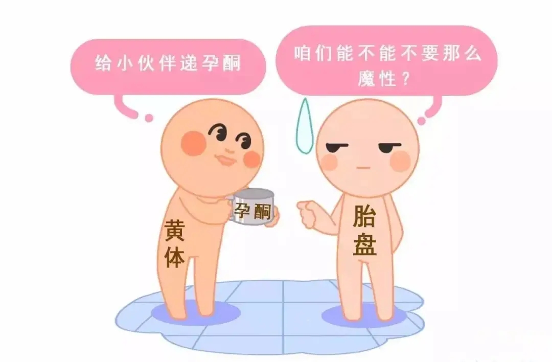 HCG和孕酮低一定會(huì)流產(chǎn)？備孕女性必須知道的孕早期“秘密”