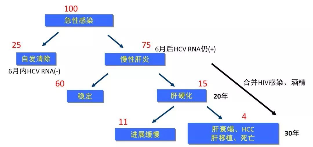 丙肝檢測的弱陽性究竟是不是感染了丙肝？